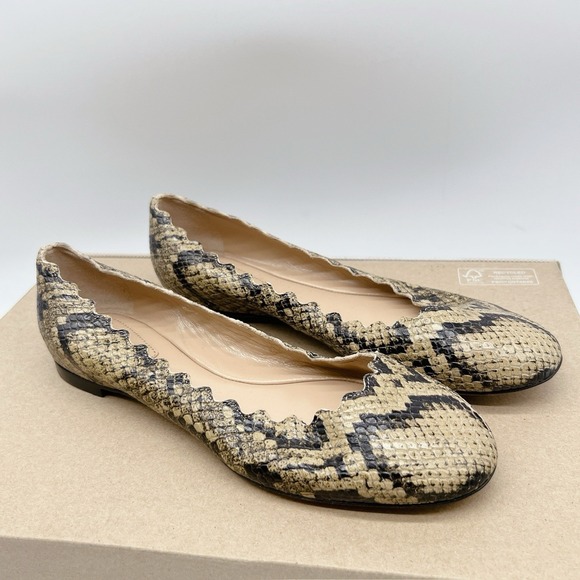 Chloe Lauren Scalloped Ballet Shoes Flats Dark Greige Snakeskin Leather US 35.5